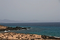 Kanary_2010 067
